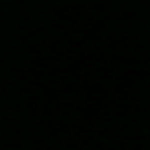 Meet your Posher, Dani